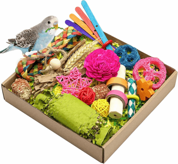 Natural Bird Toy Foraging Parrot Shredding Toys Box Conure Chewing Toys for Cockatiel Lovebird Parakeet Budgie Small-Medium Birds (Colorful)