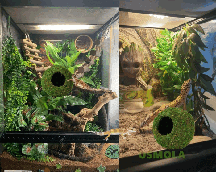 Mossy Caves, Artificial Green Moss Caves Hide for Pet Reptile Frogs and Snakes, Terrarium & Vivarium Decor, Crested Gecko Tank Decor (4" - Woodland Green) - Image 5