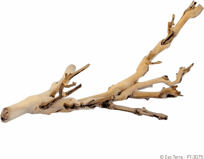 Forest Branch, Small - Image 2