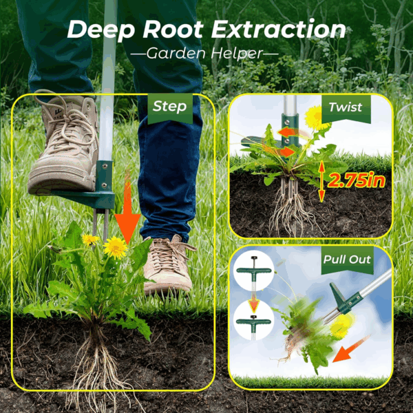 Weed Puller, Stand up Weeder Hand Tool, Long Handle Garden Weeding Tool with 3 Claws, Hand Weed Hound Weed Puller for Dandelion, Standup Weed Root Pulling Tool and Picker, Grabber (1 Pack) - Image 3