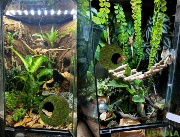 Mossy Caves, Artificial Green Moss Caves Hide for Pet Reptile Frogs and Snakes, Terrarium & Vivarium Decor, Crested Gecko Tank Decor (4" - Woodland Green) - Image 4