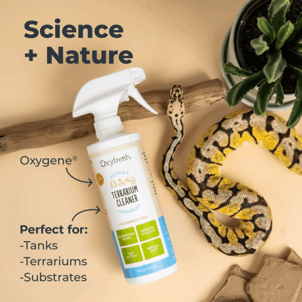 Premium Terrarium Cleaner – Professional Amphibian and Reptile Terrarium Smell Eliminator – Safe & Quickly Removes Waste & Odors – Streak Free Glass – Bleach Free - Image 4