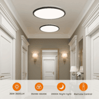 15.4In LED Flush Mount Ceiling Light Fixture with Remote, 2000K Warm Nightlight, Dimmable 3000K-6500K Low Profile Ceiling Lights for Bedroom, Living Room, 3600LM Black - Image 6