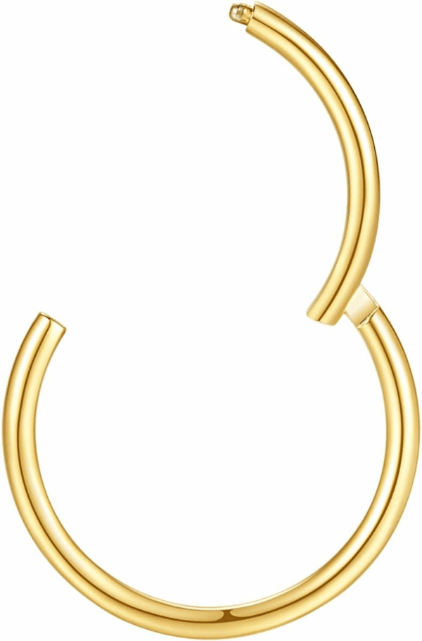 Hypoallergenic Nose Rings 20G 18G 16G 14G 12G 10G 8G 316L Surgical Steel Septum Jewelry Hinged Segment Ring Body Piercing Nose Hoop Lip Rings Nose Helix Cartilage Rook Earrings - Image 6