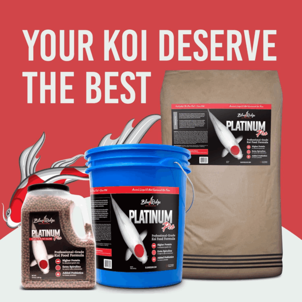 Blue Ridge Koi Fish Food 14Lb - Koi Food 3/16” Platinum Pro Formula Goldfish Food, Premium Fish Food for Ponds, Ponds Fish Food, Floating Pond Pellet - Image 9