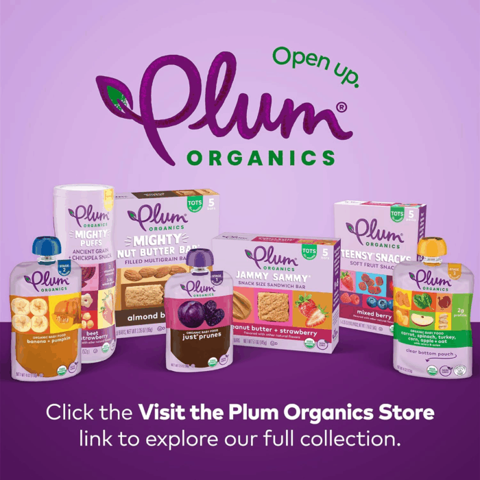 Stage 2 Organic Baby Food - Fruit and Veggie Variety Pack - 4 Oz Pouch (Pack of 8) - Organic Fruit and Vegetable Baby Food Pouch - Image 6