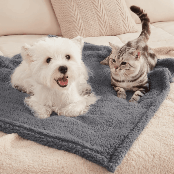 1 Pack 3 Calming Blankets Fluffy Premium Fleece Pet Blanket Soft Sherpa Throw for Dog Puppy Cat Beige Small (23" X16'') - Image 6