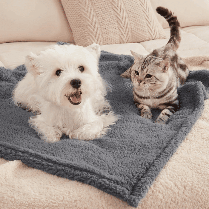 1 Pack 3 Calming Blankets Fluffy Premium Fleece Pet Blanket Soft Sherpa Throw for Dog Puppy Cat Beige Small (23" X16'') - Image 6