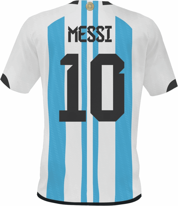 Argentina Soccer Jersey #10 Copa Mundial, World Cup Retro, Camiseta Argentina Numero 10, the G.O.A.T Jersey, Futbol