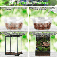 10LBS Expanded Clay Balls Terrarium Substrate for Reptiles - 100% Organic Lightweight Clay Pebbles Substrate Frogs False Bottom Substrate, Bioactive Terrarium Substrate for Drainage and Moisture - Image 3