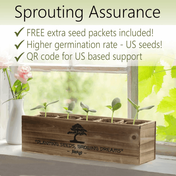 Bonsai Tree Kit – 5X Unique Japanese Bonzai Trees | Complete Indoor Starter Kit for Growing Bonsai Plants with Tools & Planters – Gardening Gifts for Women & Men - Image 4