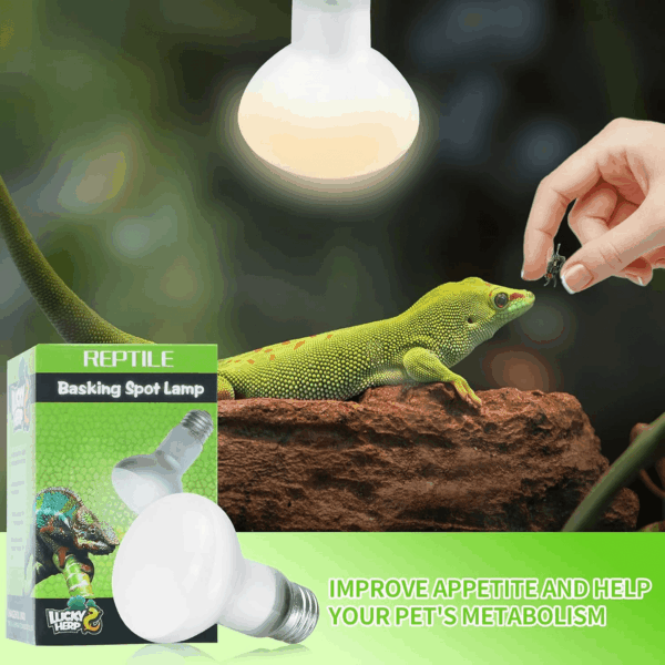 Reptile Heat Lamp - 100W (2Nd Gen) Heat Lamp Bulbs for Reptiles 2 Pack, Amphibians Basking Heat Lamp Bulbs, UVA Daylight Basking Light for Reptiles, Bearded Dragon, Lizard, Turtle, Chicken - Image 3
