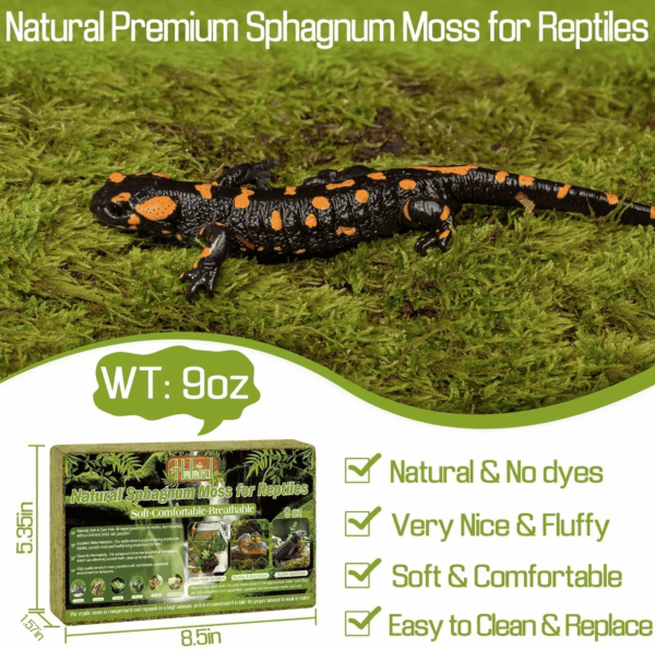 9OZ Natural Sphagnum Moss for Reptiles- 14QT Green Live Moss for Terrarium Plants Long Fiber Reptile Moss for Leopard Gecko Snake Hamsters Tortoises Frogs Lizards Salamanders - Image 2