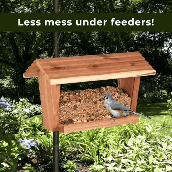 Wild Bird Ultra No Mess Nut & Fruit Food Seed Blend for Blue Jays, Woodpeckers, Juncos, Cardinals, Grosbeaks, Sparrows, and Finches, 5.5 Pound - Image 10