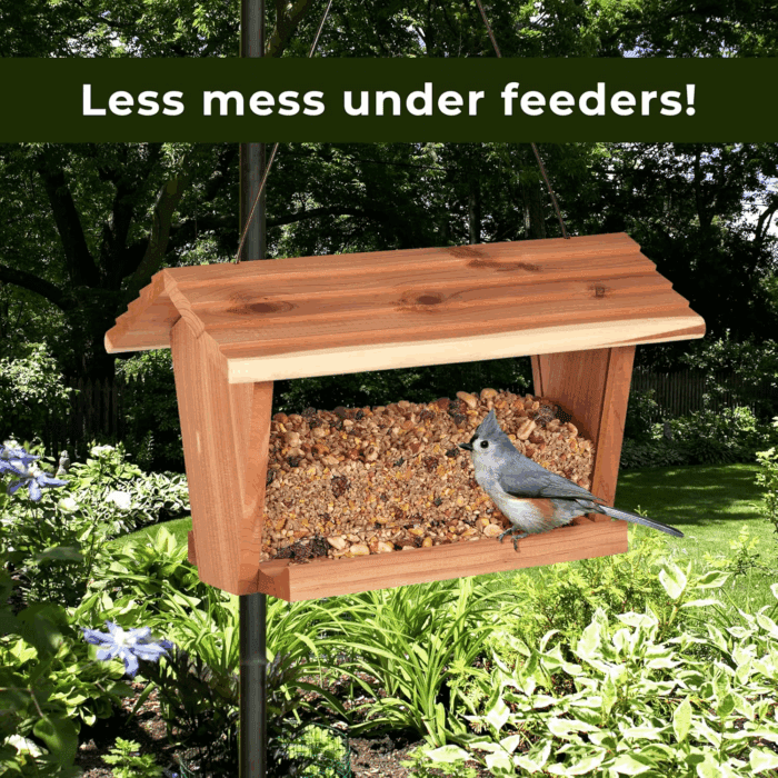 Wild Bird Ultra No Mess Nut & Fruit Food Seed Blend for Blue Jays, Woodpeckers, Juncos, Cardinals, Grosbeaks, Sparrows, and Finches, 5.5 Pound - Image 10