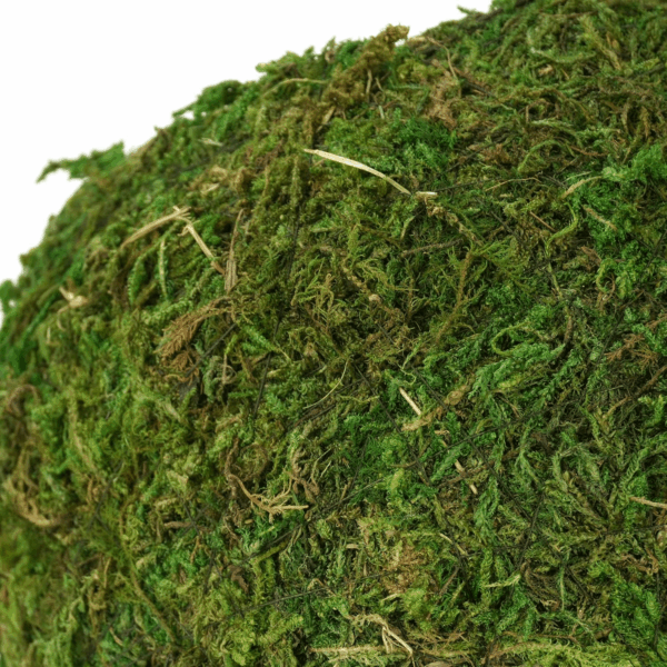 Mossy Caves, Artificial Green Moss Caves Hide for Pet Reptile Frogs and Snakes, Terrarium & Vivarium Decor, Crested Gecko Tank Decor (4" - Woodland Green) - Image 6