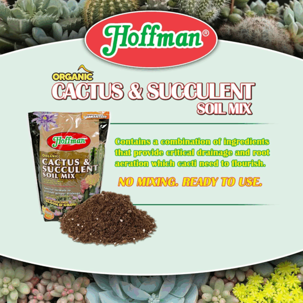 10404 Organic Cactus and Succulent Soil Mix, 4 Quarts, Brown/A - Image 3