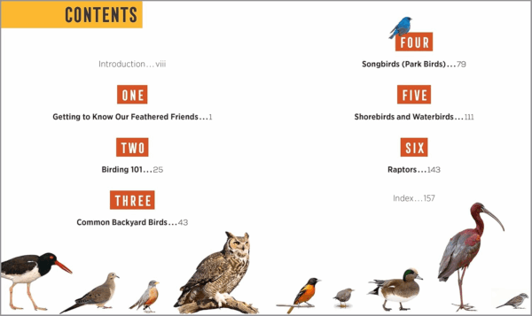 North American Bird Watching for Beginners: Field Notes on 150 Species to Start Your Birding Adventures [Spiral-Bound] Sharon Stiteler - Image 2
