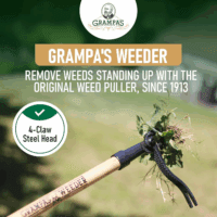 - the Original Stand up Weed Puller Tool with Long Handle - Made with Real Bamboo & 4-Claw Steel Head Design - Easily Remove Weeds without Bending, Pulling, or Kneeling. - Image 2
