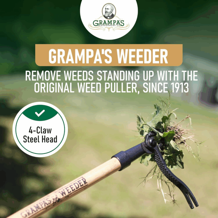 - the Original Stand up Weed Puller Tool with Long Handle - Made with Real Bamboo & 4-Claw Steel Head Design - Easily Remove Weeds without Bending, Pulling, or Kneeling. - Image 2