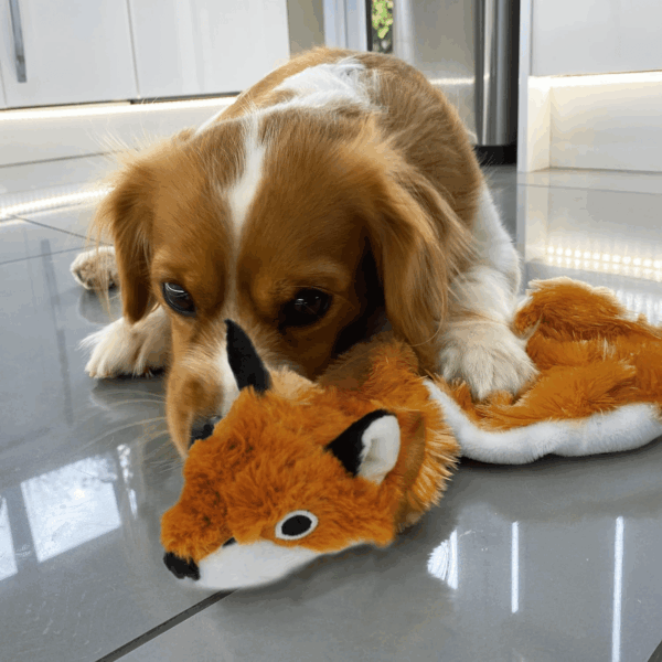 2-In-1 Stuffless Squeaky Dog Toys with Soft, Durable Fabric for Small, Medium, and Large Pets, No Stuffing for Indoor Play, Holds a Plastic Bottle - Fox, Large - Image 7