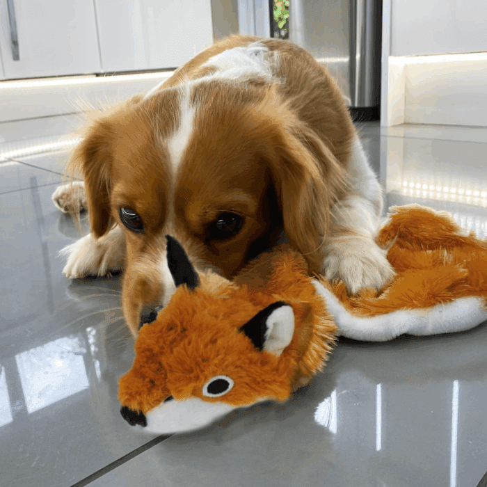 2-In-1 Stuffless Squeaky Dog Toys with Soft, Durable Fabric for Small, Medium, and Large Pets, No Stuffing for Indoor Play, Holds a Plastic Bottle - Fox, Large - Image 7