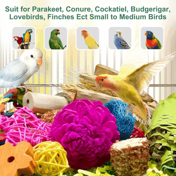 Natural Bird Toy Foraging Parrot Shredding Toys Box Conure Chewing Toys for Cockatiel Lovebird Parakeet Budgie Small-Medium Birds (Colorful) - Image 6