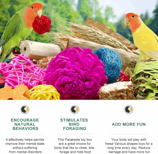 Natural Bird Toy Foraging Parrot Shredding Toys Box Conure Chewing Toys for Cockatiel Lovebird Parakeet Budgie Small-Medium Birds (Colorful) - Image 7