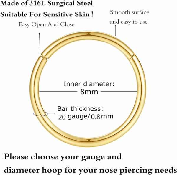 Hypoallergenic Nose Rings 20G 18G 16G 14G 12G 10G 8G 316L Surgical Steel Septum Jewelry Hinged Segment Ring Body Piercing Nose Hoop Lip Rings Nose Helix Cartilage Rook Earrings - Image 2