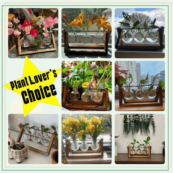 Plant Terrarium with Wooden Stand, Air Planter Bulb Glass Vase Metal Swivel Holder Retro Tabletop for Hydroponics Home Garden Office Decoration - 3 Bulb Vase - Image 5