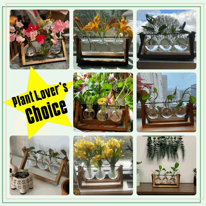 Plant Terrarium with Wooden Stand, Air Planter Bulb Glass Vase Metal Swivel Holder Retro Tabletop for Hydroponics Home Garden Office Decoration - 3 Bulb Vase - Image 5
