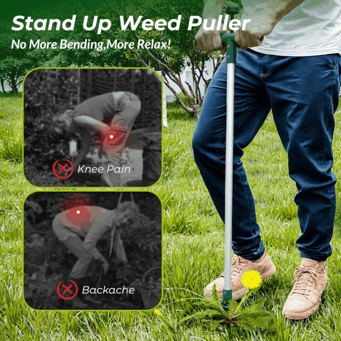 Weed Puller, Stand up Weeder Hand Tool, Long Handle Garden Weeding Tool with 3 Claws, Hand Weed Hound Weed Puller for Dandelion, Standup Weed Root Pulling Tool and Picker, Grabber (1 Pack) - Image 4