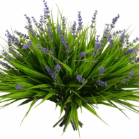 12 Bundles Artificial Plants Outdoor Fake Monkey Grass with Flowers for Pot UV Resistant Plant Decor for Window Garden Patio Hanging Planter Pathway Front Porch (Grass with Flowers)