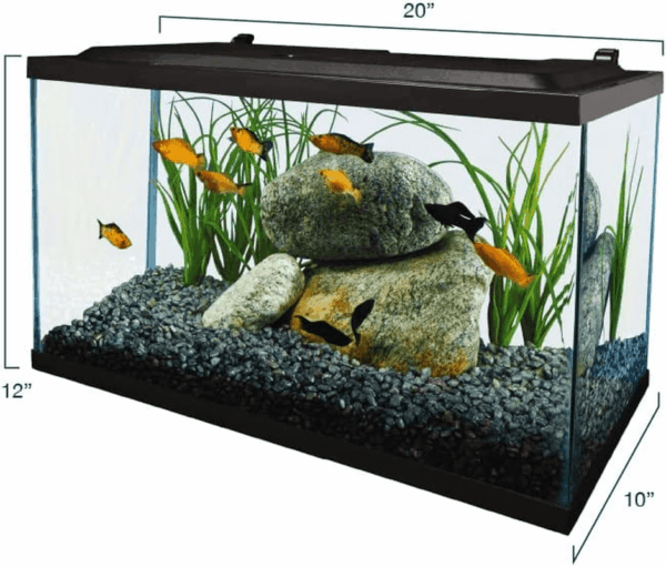 Aquarium, 10 Gallon, Complete Tropical Fish Tank Kit with LED Lighting for Freshwater Fish - Image 5