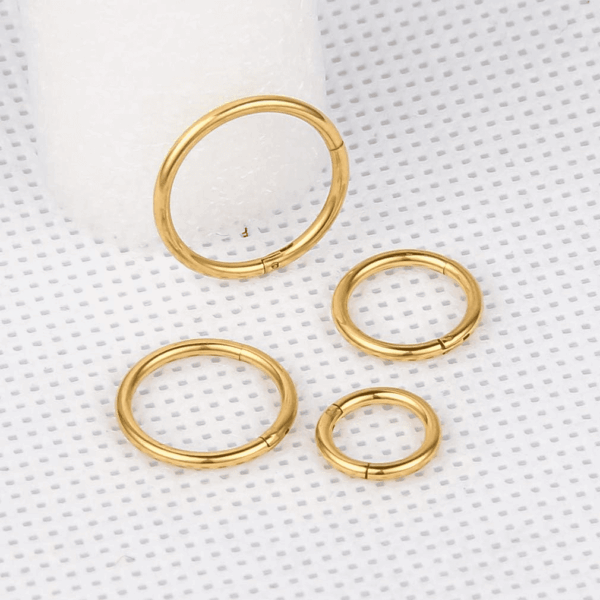 4Pcs 16G 18G 20G Surgical-Steel-Piercing-Ring-Nose-Rings-Hinged-Hoop-Earrings,6Mm 8Mm 10Mm 12Mm Seamless Stainless Steel Clicker Eyebrow Septum Piercing Hoop,Sliver Black Gold Rose Gold Rainbow Body Jewelry Set - Image 5
