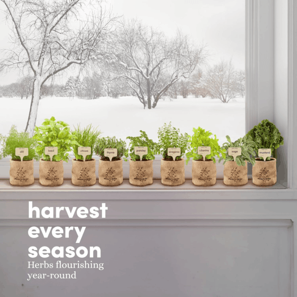 9 Herb Indoor Window Garden Kit - Mother'S Day Gift - House Plants Seeds - Best Unique Gift Ideas for Women, Mom, Friend, Her, Birthday, Housewarming, Mother - New Home Kitchen Gifts - Image 8