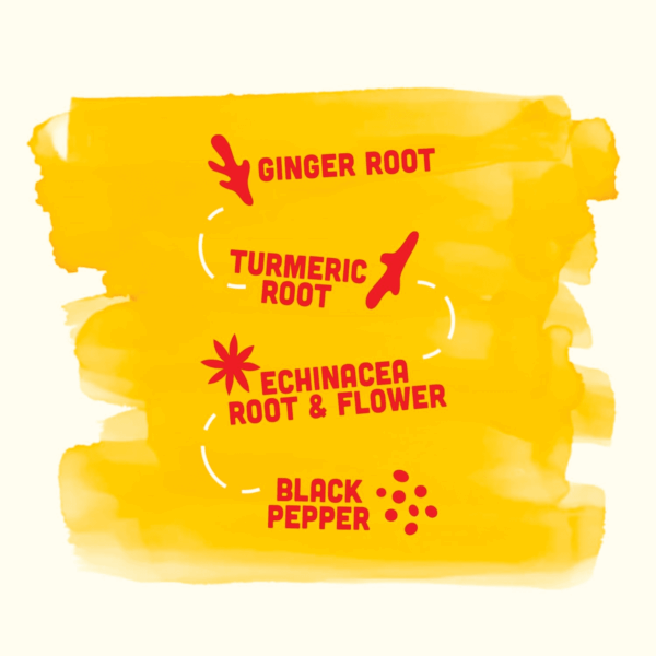 Immunity Boost Original (2 Oz) Immunity Wellness Shot with Cold-Pressed Ginger, Turmeric, Echinacea & Black Pepper - USDA Organic & No Added Sugars or Artificial Ingredients, Yellow - Image 6