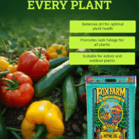 Ocean Forest Potting Soil, 12Qt – Light, Aerated Texture, Designed for All Container Plants – Ph Adjusted for Optimal Nutrient Uptake, Effectively Retains Moisture - Image 3