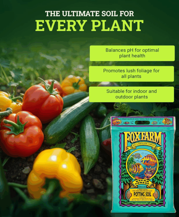 Ocean Forest Potting Soil, 12Qt – Light, Aerated Texture, Designed for All Container Plants – Ph Adjusted for Optimal Nutrient Uptake, Effectively Retains Moisture - Image 3