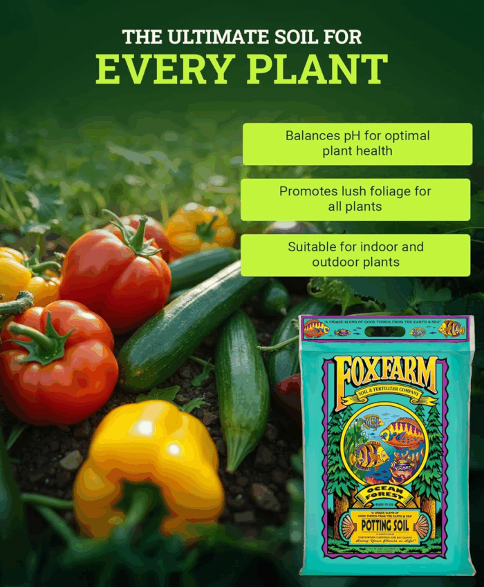 Ocean Forest Potting Soil, 12Qt – Light, Aerated Texture, Designed for All Container Plants – Ph Adjusted for Optimal Nutrient Uptake, Effectively Retains Moisture - Image 3