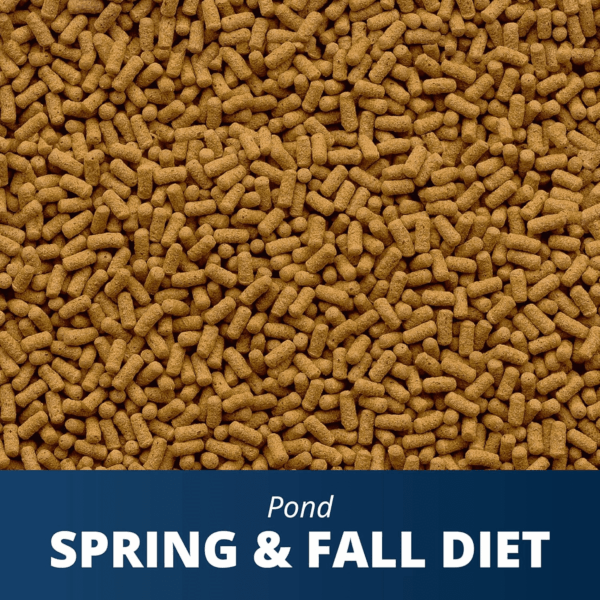 pond Spring and Fall Diet 3.08 Pounds, Pond Fish Food, for Goldfish and Koi, 7 L - Image 4