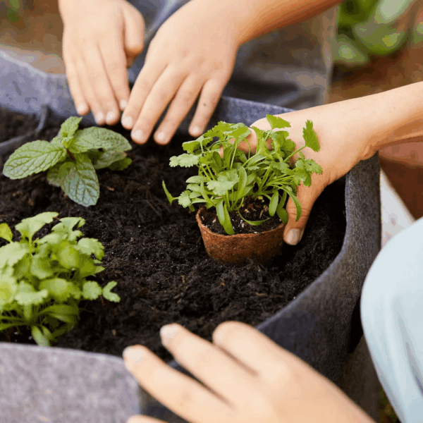 Organic & Plantable Seed Starting Pots (24 CT) - Image 3