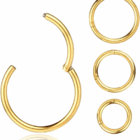 4Pcs 16G 18G 20G Surgical-Steel-Piercing-Ring-Nose-Rings-Hinged-Hoop-Earrings,6Mm 8Mm 10Mm 12Mm Seamless Stainless Steel Clicker Eyebrow Septum Piercing Hoop,Sliver Black Gold Rose Gold Rainbow Body Jewelry Set