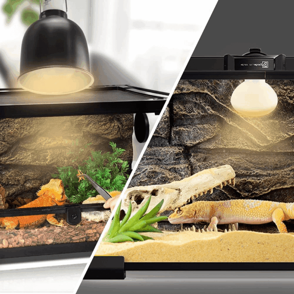 Reptile Heat Lamp - 100W (2Nd Gen) Heat Lamp Bulbs for Reptiles 2 Pack, Amphibians Basking Heat Lamp Bulbs, UVA Daylight Basking Light for Reptiles, Bearded Dragon, Lizard, Turtle, Chicken - Image 5