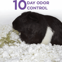99% Dust-Free White Natural Paper Small Pet Bedding with Odor Control, 10L, White - Image 4
