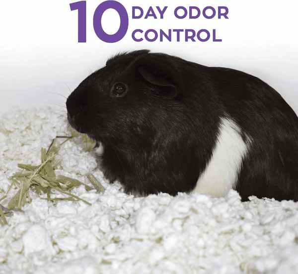 99% Dust-Free White Natural Paper Small Pet Bedding with Odor Control, 10L, White - Image 4