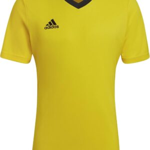 Men'S Entrada 22 Jersey
