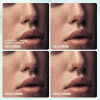 8 Pcs 16G 316L Surgical Steel Nose Rings Hoops Septum Rings Lip Rings Hypoallergenic Nose Clicker Ring Tragus Helix Cartilage Daith Rook Sleeper Earring Body Piercing Jewerly for Women Men - Image 5