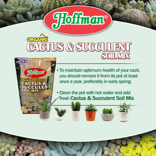 10404 Organic Cactus and Succulent Soil Mix, 4 Quarts, Brown/A - Image 5