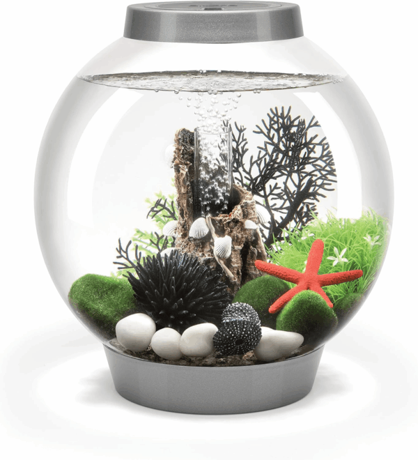 Classic 15 Acrylic 4-Gallon Aquarium with White LED Lights Modern Compact Tank for Tabletop or Desktop Display, Silver-Trimmed Tank